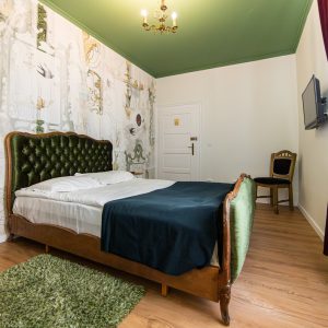 Cazare Brasov - Casa Antiqua Cam 1 (3)