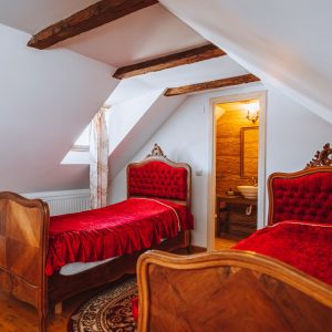Penthouse Casa Antiqua Brasov (6)