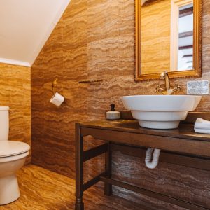 Penthouse Casa Antiqua Brasov (8)